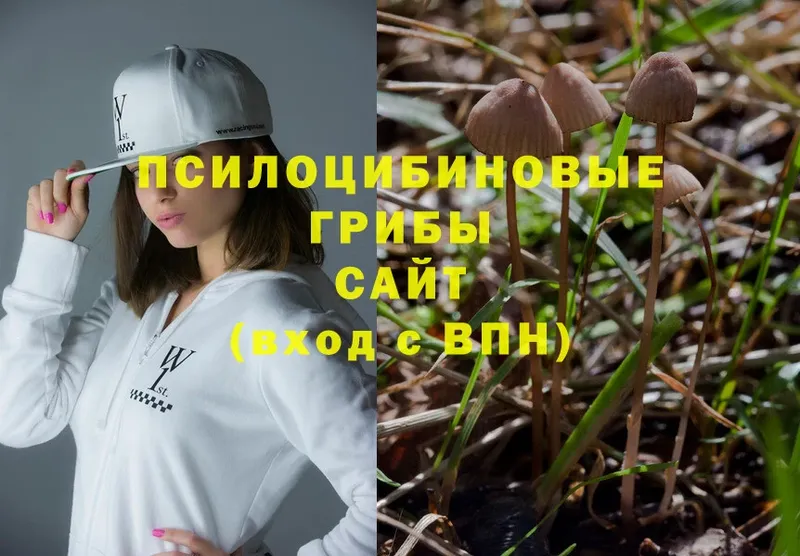 Галлюциногенные грибы Cubensis  что такое наркотик  Мурино 